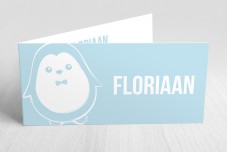 Kleine lieve pinguïn Kleine lieve pinguïn